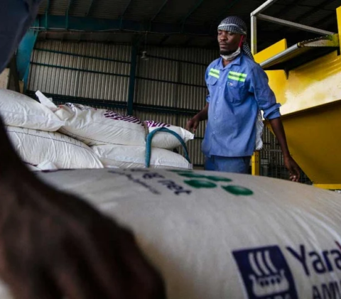 The Africa Fertilizer Financing Mechanism receives $