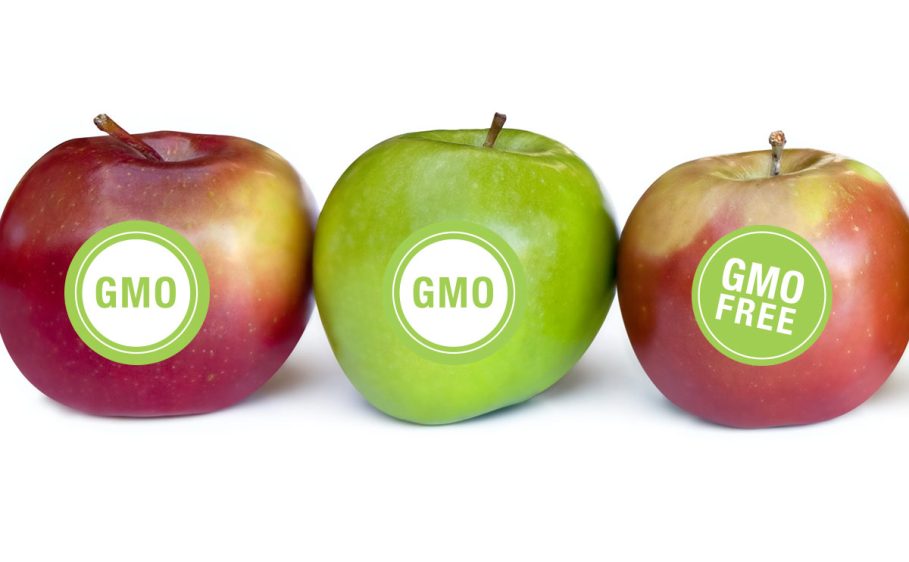 HOMEF, GMO-Free Nigeria Alliance Hail House Of Reps Decision To Investigate Introduction Of GMOs In Nigeria