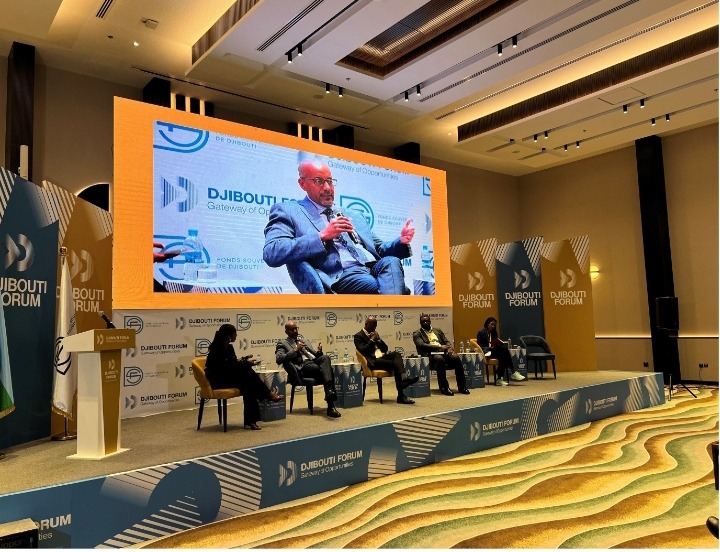 Djibouti Woos Foreign Investors To Expand Private Sector, Diversify Economy