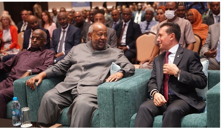 Djibouti Woos Foreign Investors To Expand Private Sector, Diversify Economy 