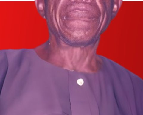 The entire family of Dominic Ejiogu Anorue of Umuonyejiaku in Awalla Autono ~