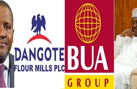 How Dangote, BUA, 6 Others Suffer Forex Losses Of  N627bn In Q1 2024