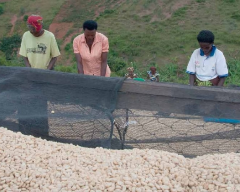 Rwanda: Significant results midway through the implementation of the African Development Bank country strategy