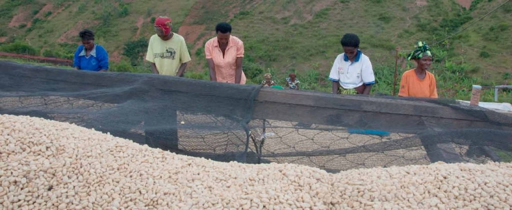 Rwanda: Significant results midway through the implementation of the African Development Bank country strategy