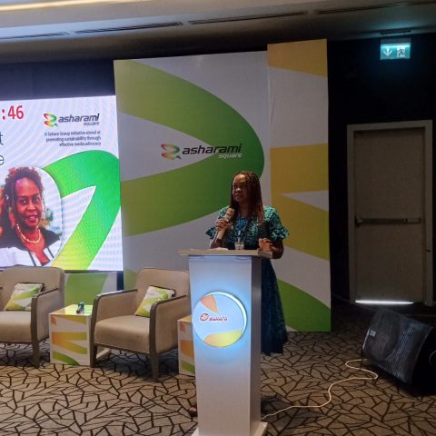 How Africa Should Position To Benefit From Green Economy – Aniagolu-Okoye