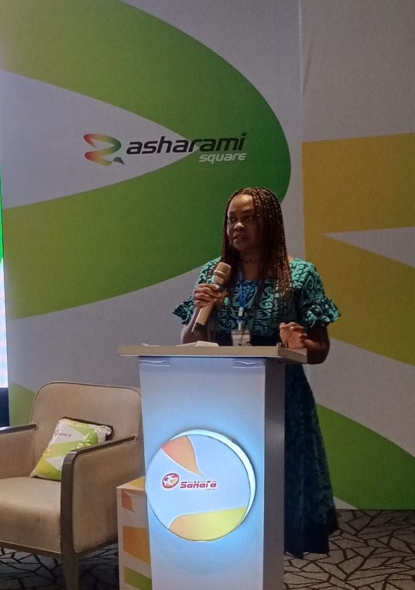 Experts Highlight Ways Africa Can Participate In Energy Transition For Sustainability