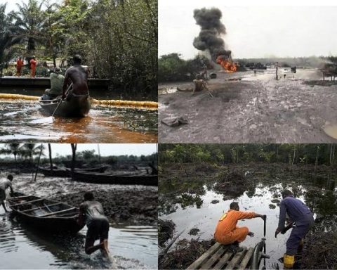 Niger Delta Oil Pollution: Environmentalist Seeks Int’l Effort To Invest $12bn In 12 Years For Repair