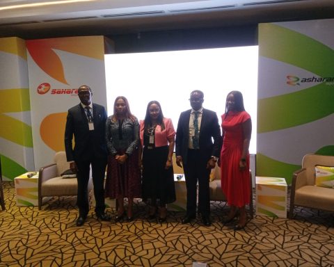 Experts Highlight Ways Africa Can Participate In Energy Transition For Sustainability