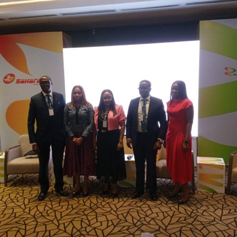 Experts Highlight Ways Africa Can Participate In Energy Transition For Sustainability