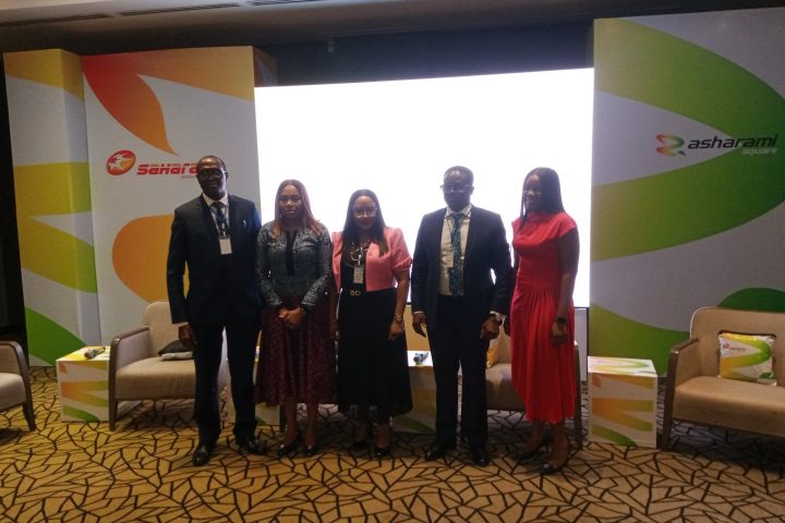 Experts Highlight Ways Africa Can Participate In Energy Transition For Sustainability