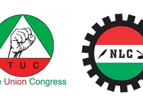TUC and NLC logos