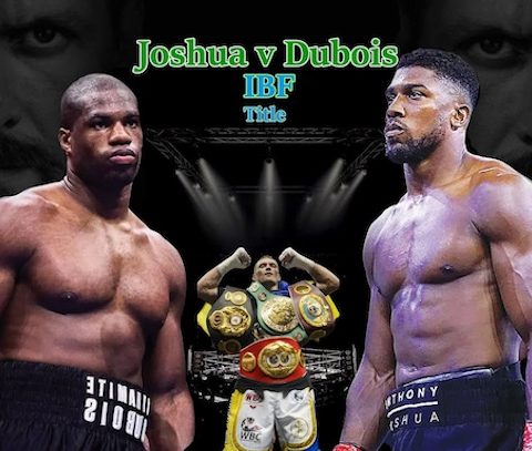 joshua and dubois