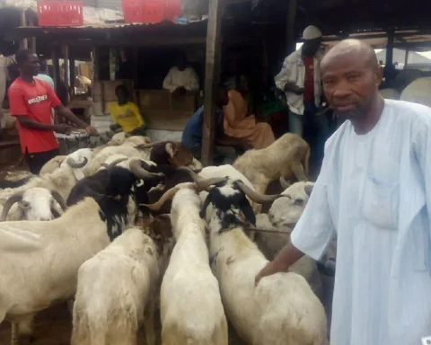 Sallah: Ram Sellers Lament Low Patronage, Blame Economic Challenges