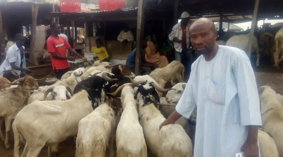 Sallah: Ram Sellers Lament Low Patronage, Blame Economic Challenges