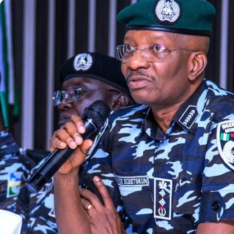 https://www.primebusiness.africa/wp-content/uploads/2024/07/IGP-Egbetokun.jpg