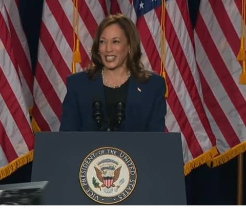 Kamala Harris Takes Swipes At Trump In First Campaign Rally