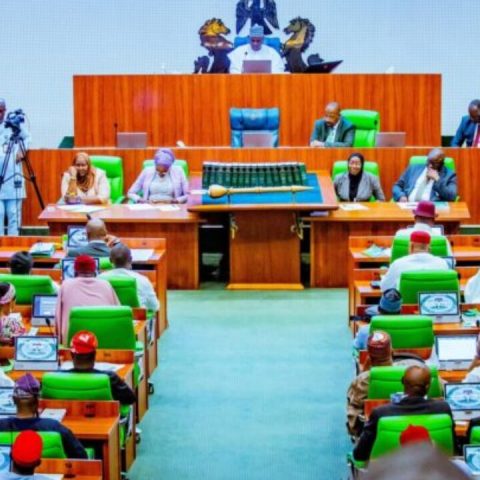 House Of Reps Withdraws Bill To Remove VP, Governors’ Immunity