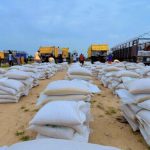 Rice Palliatives: Does It Really Help The Poor?