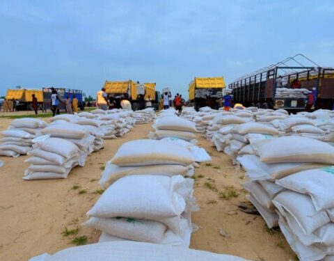 Rice Palliatives: Does It Really Help The Poor?