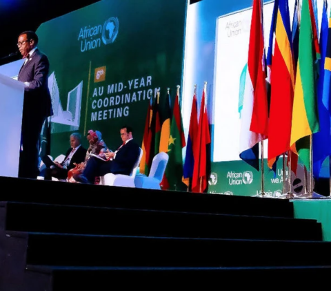 African Development Bank’s Akinwumi Adesina briefs African leaders on Bank’s progress in mobilizing financial resources for the continent