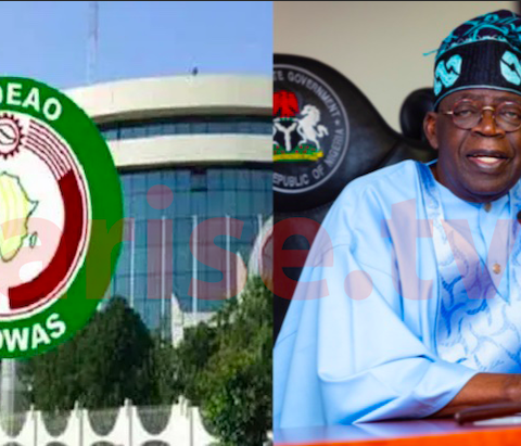 Mixed Reactions As ECOWAS Re-elects Tinubu As Chairman