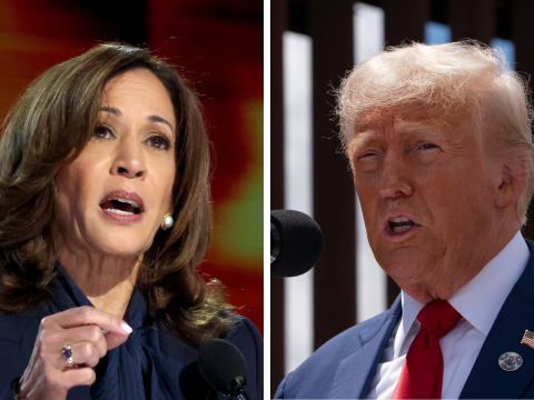 Donald Trump Criticises Kamala Harris, Calling Her The "Weakest Presidential Candidate" On Crime