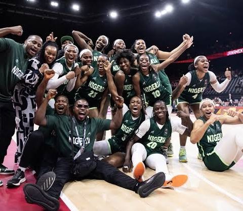 D'tigress