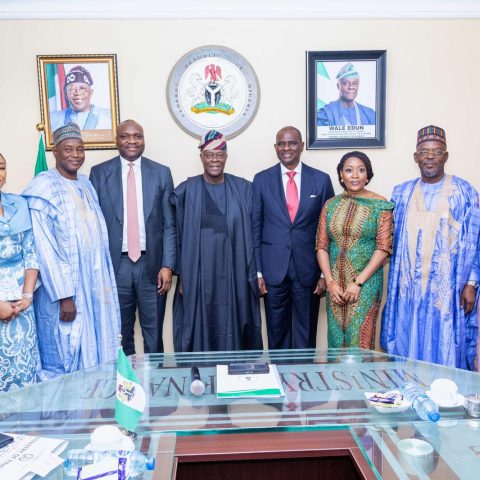Use Your Expertise To Drive Economic Growth Edun Tells New NSIA Board Members