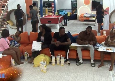 big brother housemates