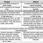 Dengue or Malaria ? How to distinguish mosquito borne diseases