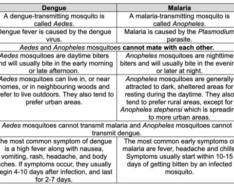 Dengue or Malaria ? How to distinguish mosquito borne diseases