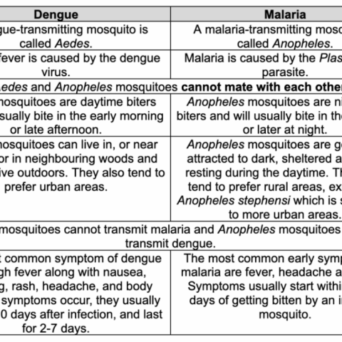 Dengue or Malaria ? How to distinguish mosquito borne diseases