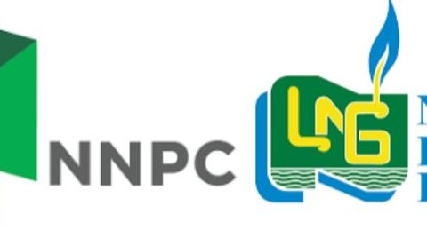 NNPCL Would Be Mini Aramco Today If Set Up Like NLNG – Expert