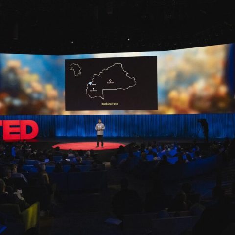 Professor Abdoulaye Diabaté at TED