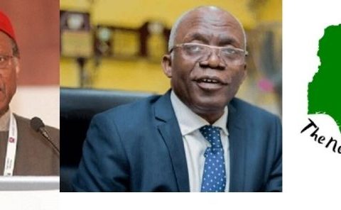 Nigeria At 64: Anyaoku, Falana, Others To Speak At Launch Of 'The New Tribe Of Patriots'