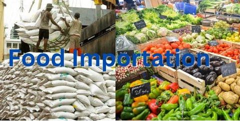Nigerian Govt Mulls Zero Interim Import Duty On Selected Food Items