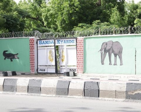 Flood Kills Many Animals In Maiduguri Zoo, Others Escape — Manager