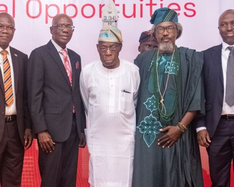 We Need Economic Diversification To Save Naira's Value - 9mobile CEO 