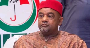 We Won’t Allow One-party State, PDP Tells Tinubu-led APC Govt