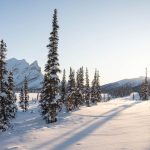 As the alliance between Russia and China deepens in the Arctic, the frozen region is becoming more critical than ever in international relations, experts concluded at several recent panels hosted by the East-West Center.