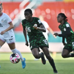 Flamingos failed to stop USA in quarterfinals
