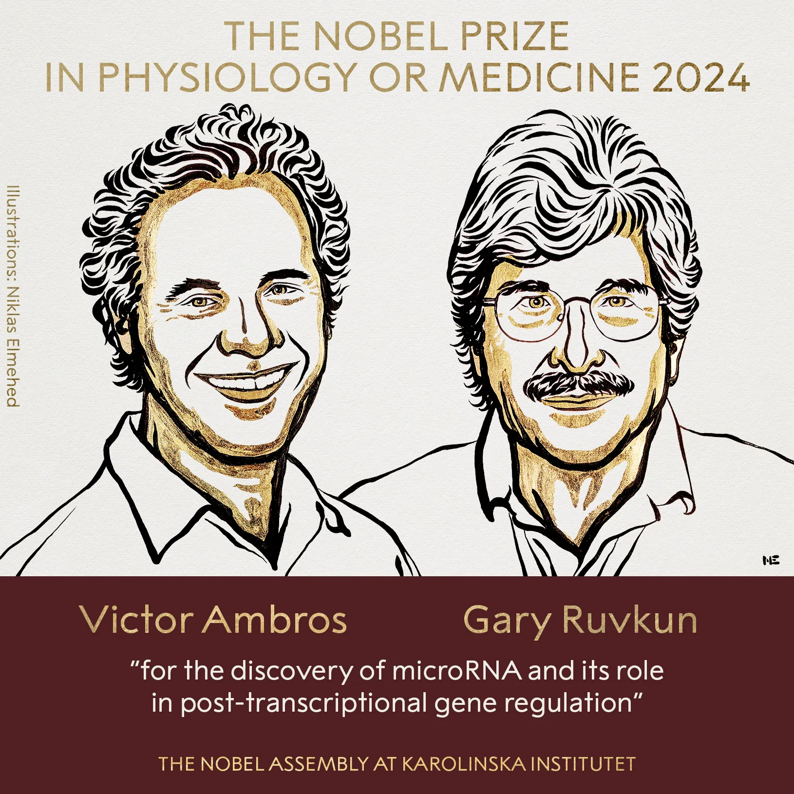 U.S' Ambros, Ruvkun Win 2024 Nobel Prize In Medicine For microRNA