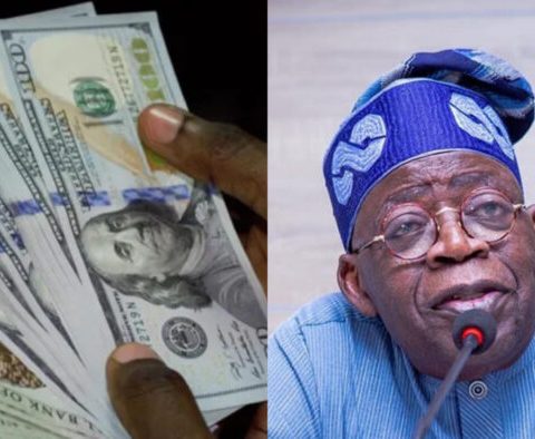 Nigeria's Foreign Trade Surplus Hits $50.4 Billion: Who Gains as Naira Depreciates