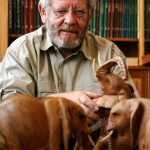 African winners recognised at the Animal Action Awards in London with a special award 