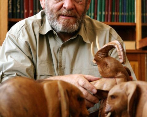 African winners recognised at the Animal Action Awards in London with a special award 