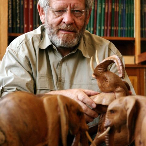 African winners recognised at the Animal Action Awards in London with a special award 