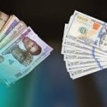 Nigeria’s FX Crisis Deepens As Foreign Investments Drop Amid Liquidity Concerns