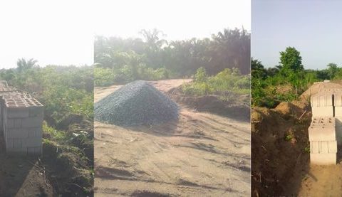 Badagry Monarch Others Destroy Nm Crops In Forceful Takeover Of Farmland ()