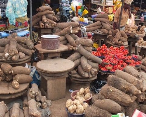 Food Prices Drop North East As Farmers Flood Markets With Grains