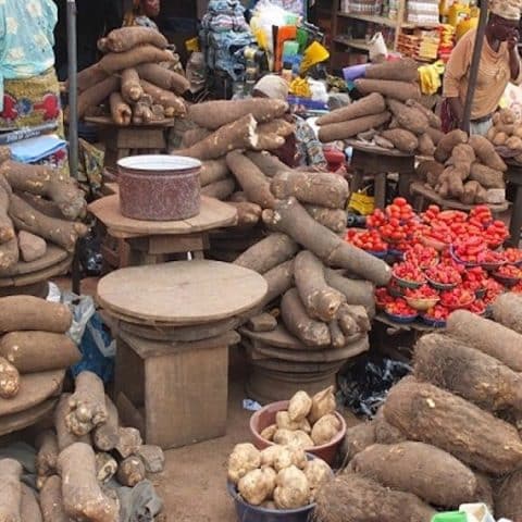 Food Prices Drop North East As Farmers Flood Markets With Grains